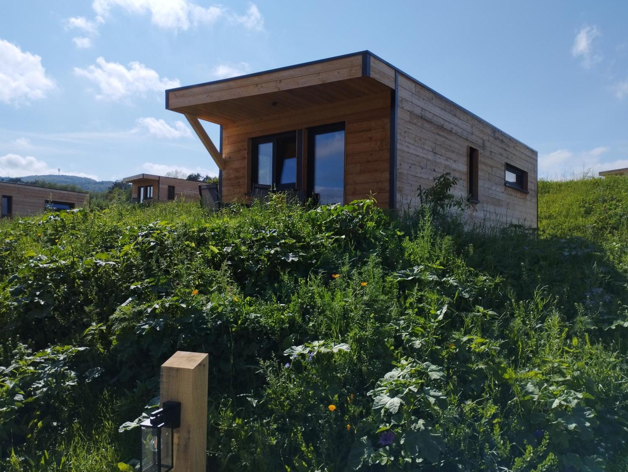 Edersee Gmbh *
