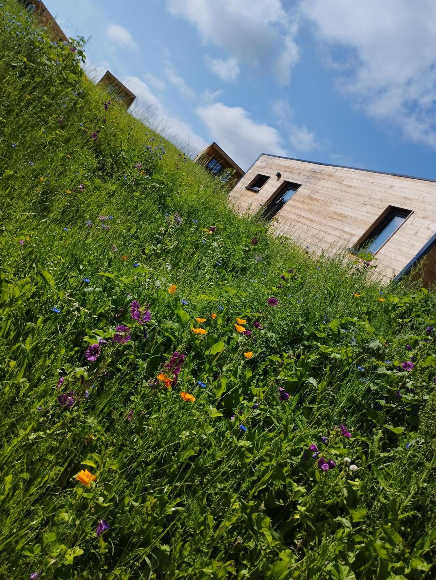 Hébergement de vacances Edersee Gmbh